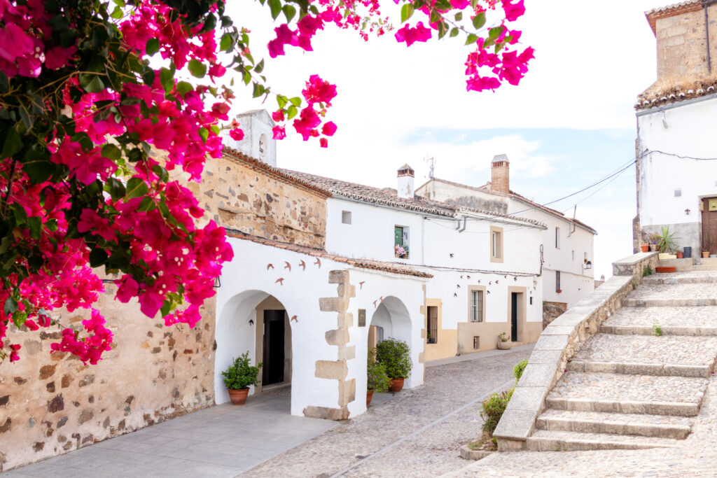 view of ermita de San Antonio through bougainvillea caceres spain