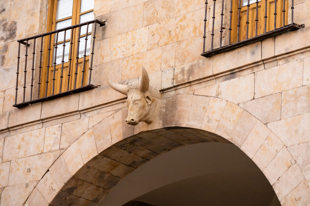 bull at entrance to plaza mayor Salamanca spain