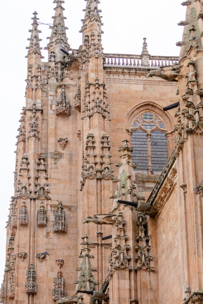 exterior salamanca cathedral detail 