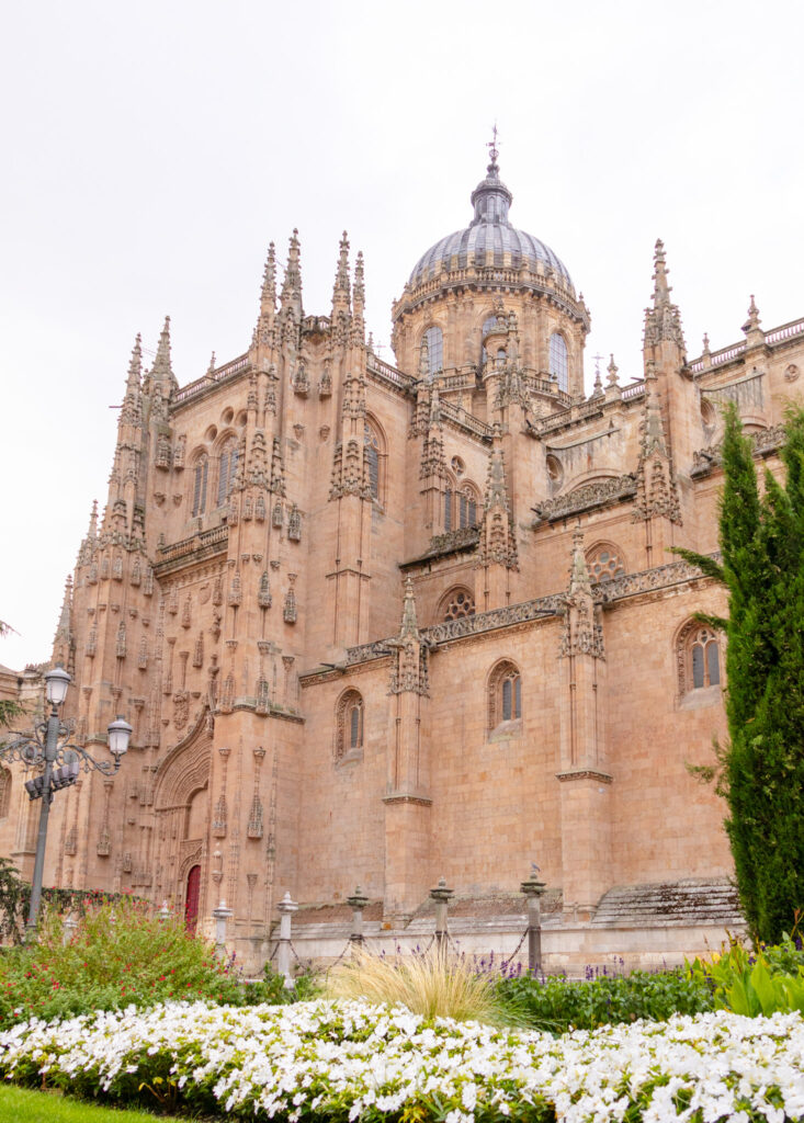 salamanca cathedral exterior with flowers