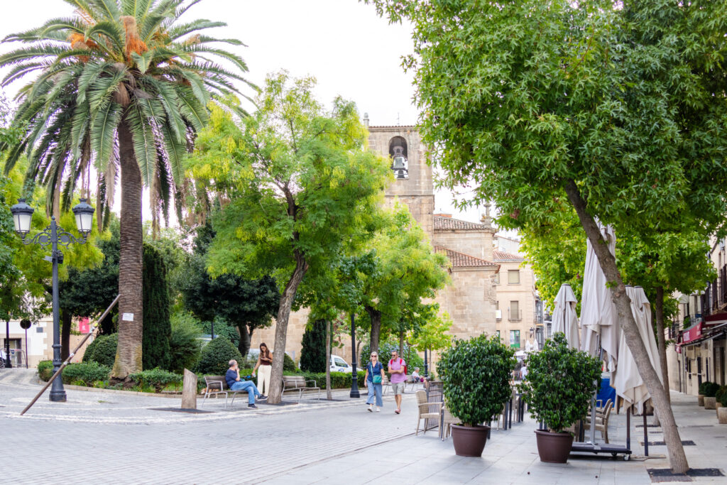 palm trees and San Juan church in caceres spain