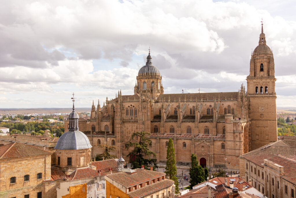 view of the cathedral in the distance from scala coeli salamanca spain