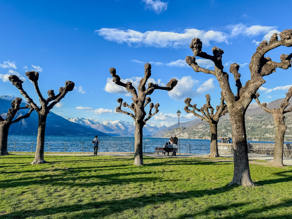 Bellagio Italy park with trees in foreground and snowy mountains behind