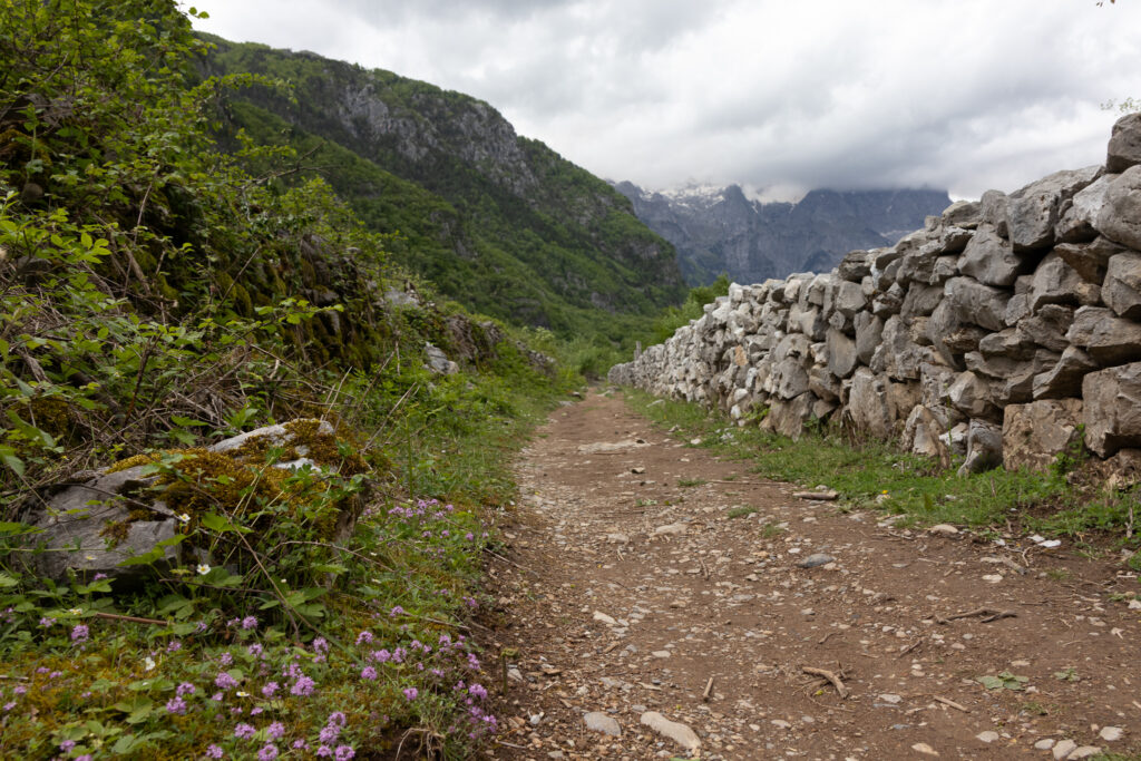 trail near the Goat bridge