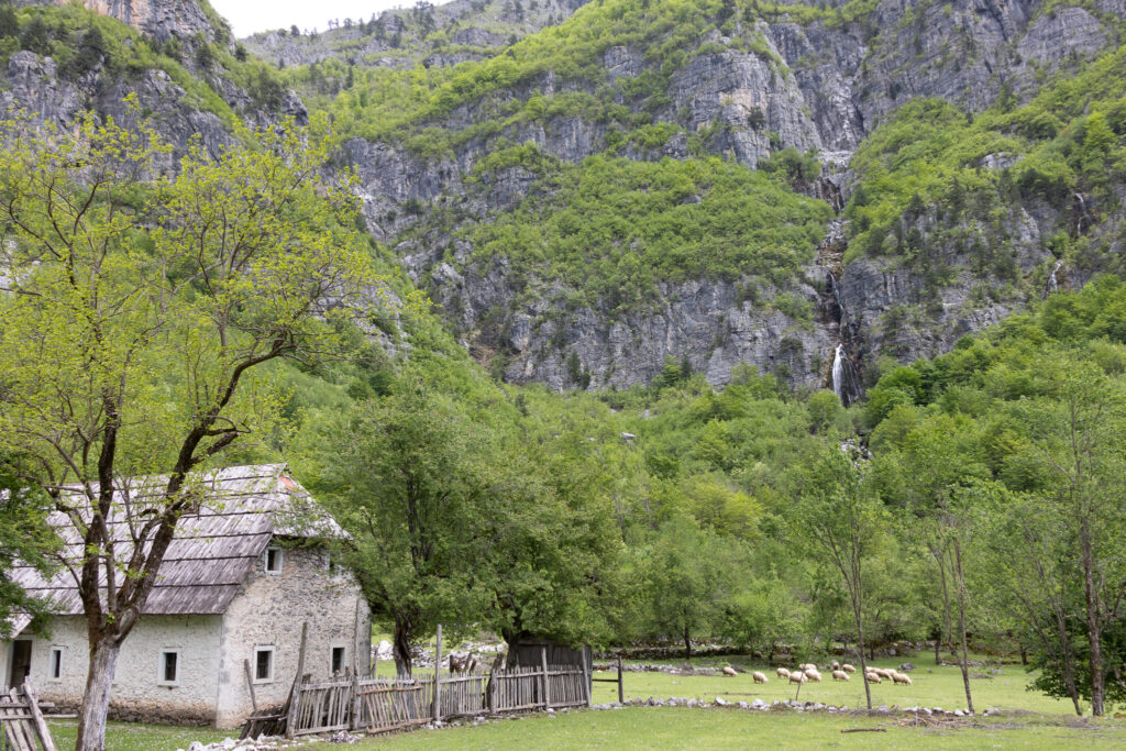 sheep farm with Grunas waterfall in background