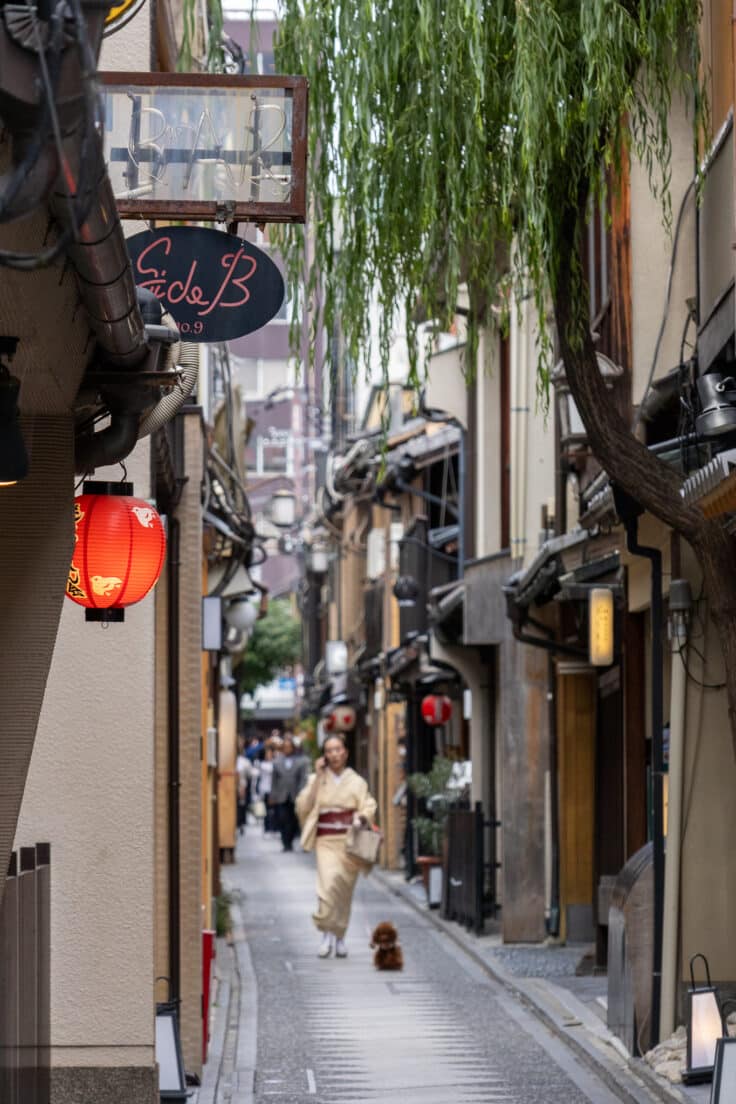 where to stay in Kyoto including Gion and you might see a geisha walking her dog